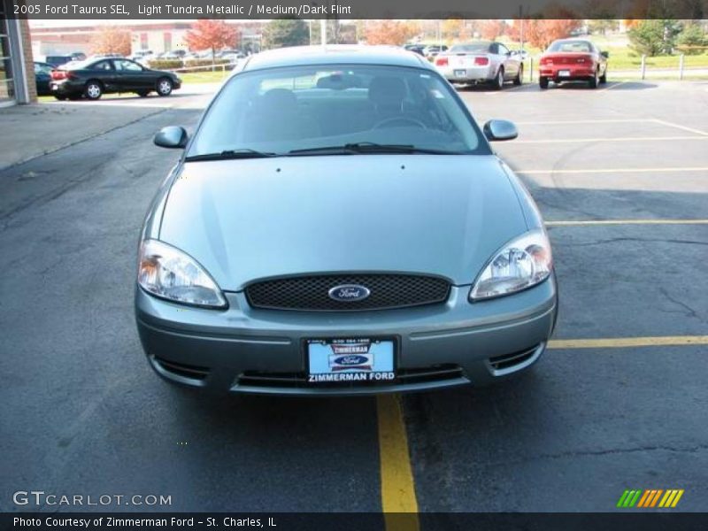 Light Tundra Metallic / Medium/Dark Flint 2005 Ford Taurus SEL
