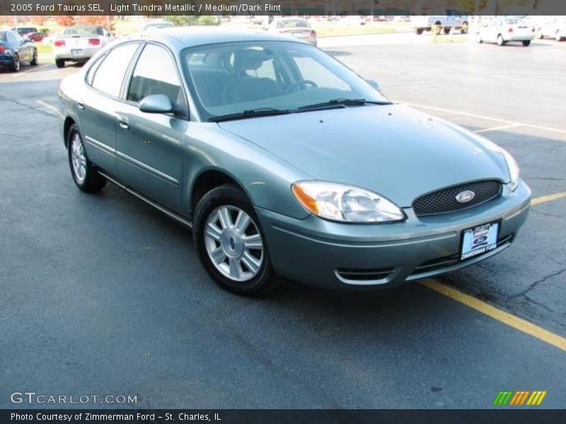 Light Tundra Metallic / Medium/Dark Flint 2005 Ford Taurus SEL