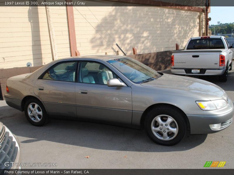 Antique Sage Pearl / Gray 1997 Lexus ES 300