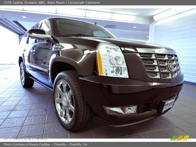 Black Raven / Cocoa/Light Cashmere 2008 Cadillac Escalade AWD