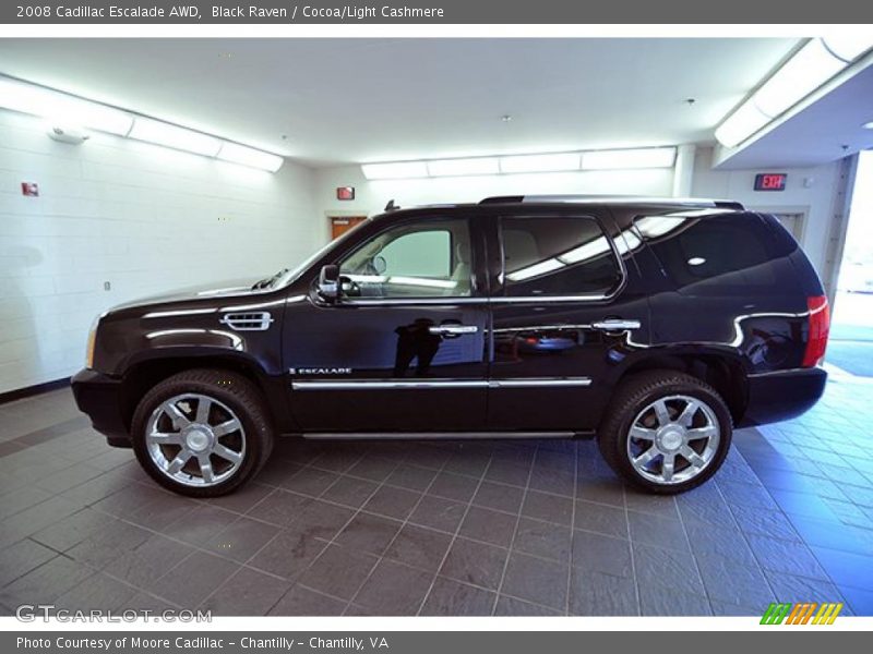 Black Raven / Cocoa/Light Cashmere 2008 Cadillac Escalade AWD