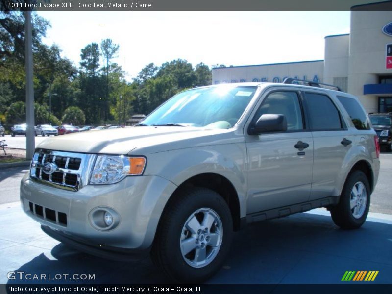 Gold Leaf Metallic / Camel 2011 Ford Escape XLT