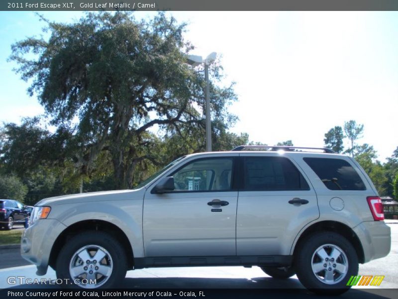 Gold Leaf Metallic / Camel 2011 Ford Escape XLT
