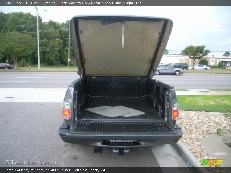 Dark Shadow Grey Metallic / SVT Black/Light Flint 2004 Ford F150 SVT Lightning