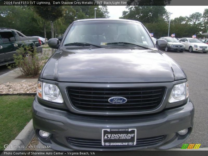 Dark Shadow Grey Metallic / SVT Black/Light Flint 2004 Ford F150 SVT Lightning
