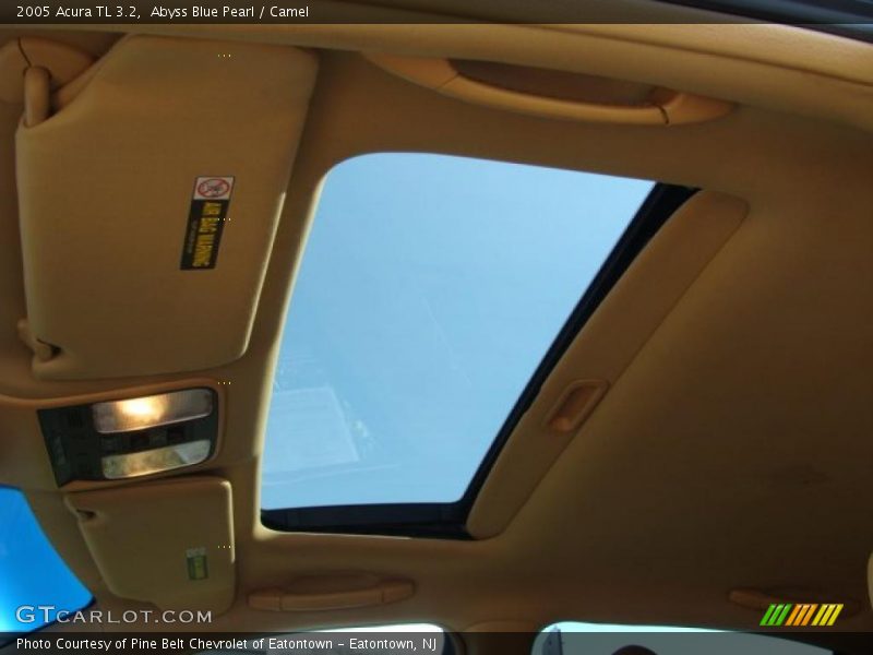 Abyss Blue Pearl / Camel 2005 Acura TL 3.2