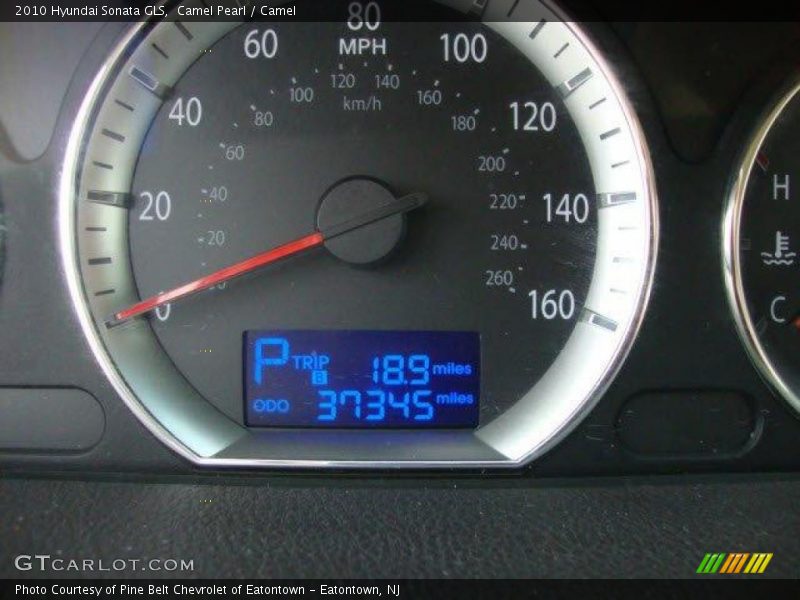 Camel Pearl / Camel 2010 Hyundai Sonata GLS