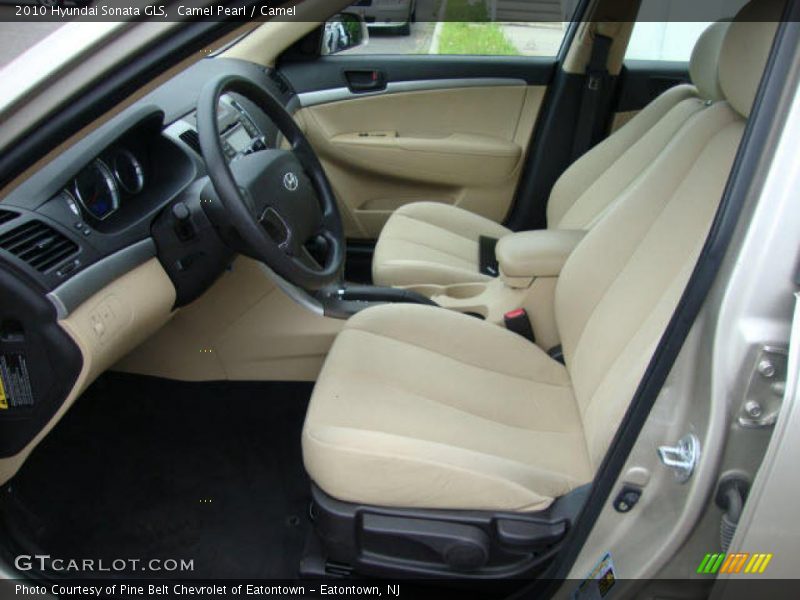 Camel Pearl / Camel 2010 Hyundai Sonata GLS