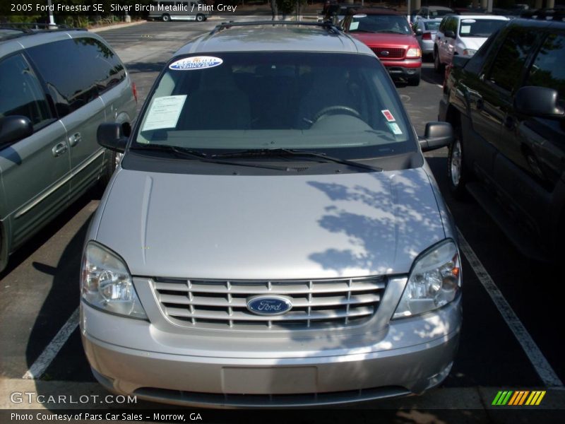 Silver Birch Metallic / Flint Grey 2005 Ford Freestar SE