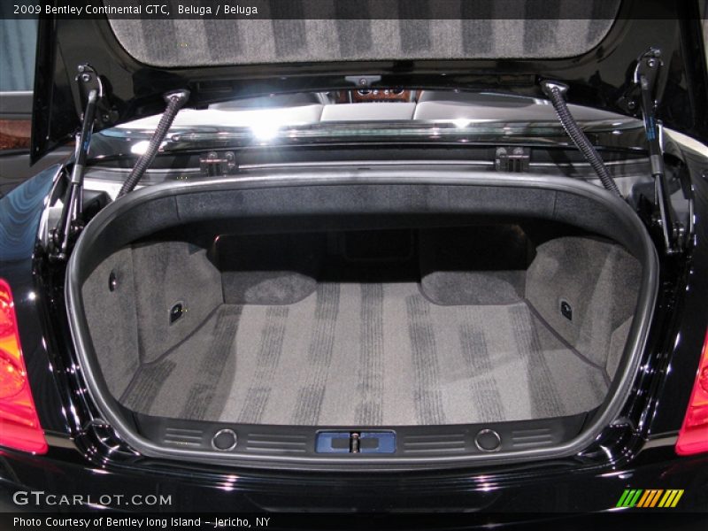 Beluga / Beluga 2009 Bentley Continental GTC
