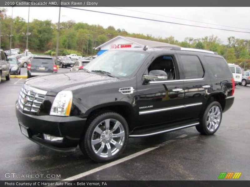 Black Raven / Ebony 2010 Cadillac Escalade AWD