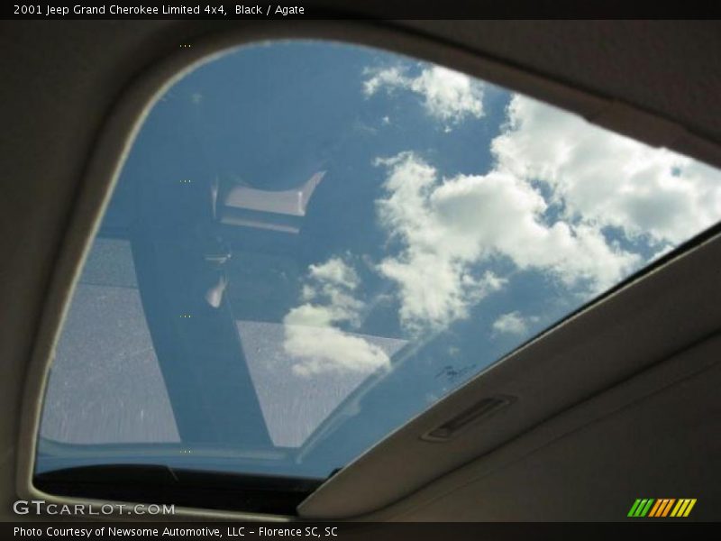 Black / Agate 2001 Jeep Grand Cherokee Limited 4x4