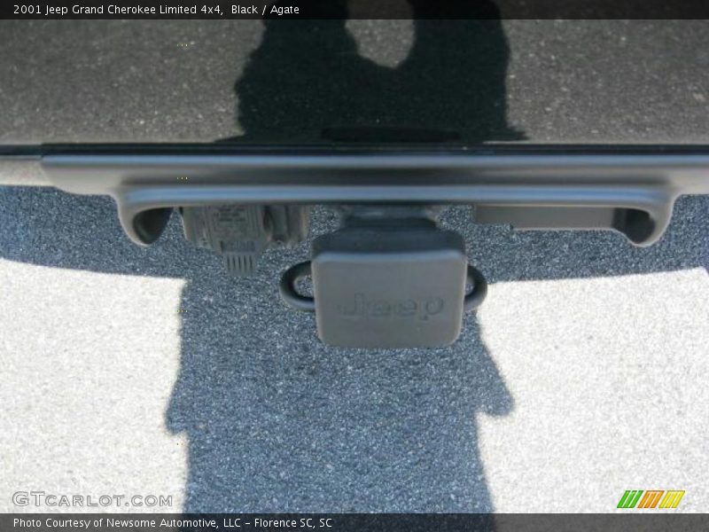 Black / Agate 2001 Jeep Grand Cherokee Limited 4x4