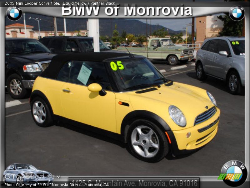 Liquid Yellow / Panther Black 2005 Mini Cooper Convertible