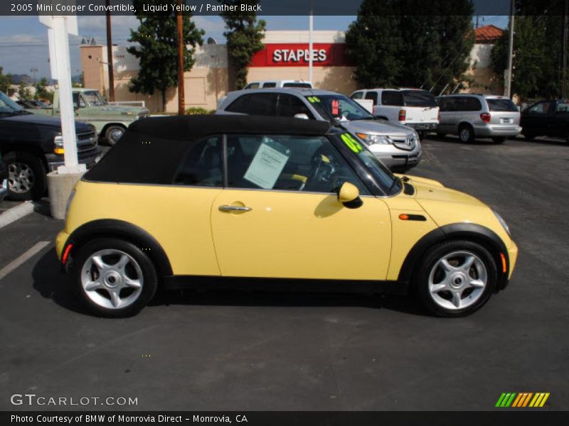 Liquid Yellow / Panther Black 2005 Mini Cooper Convertible