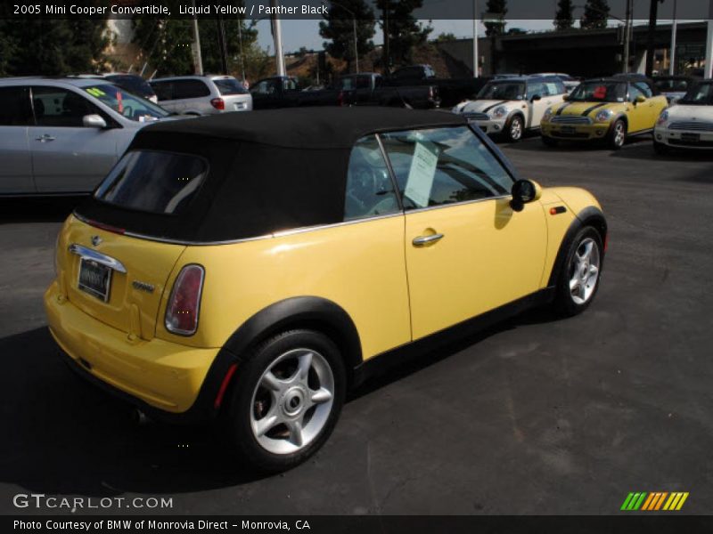 Liquid Yellow / Panther Black 2005 Mini Cooper Convertible