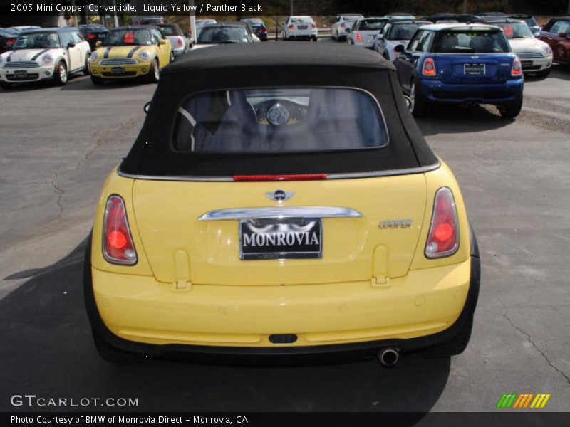 Liquid Yellow / Panther Black 2005 Mini Cooper Convertible