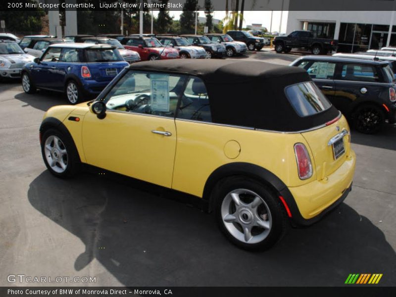 Liquid Yellow / Panther Black 2005 Mini Cooper Convertible