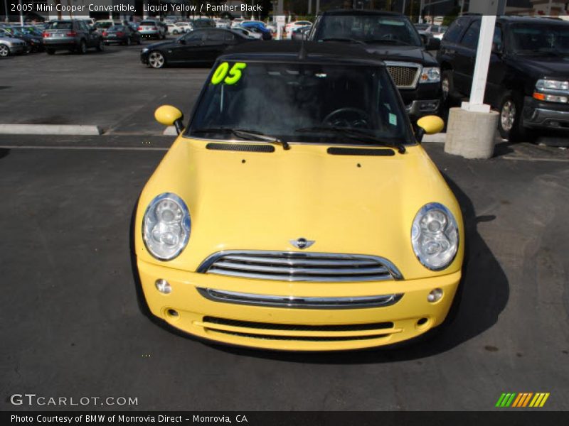 Liquid Yellow / Panther Black 2005 Mini Cooper Convertible