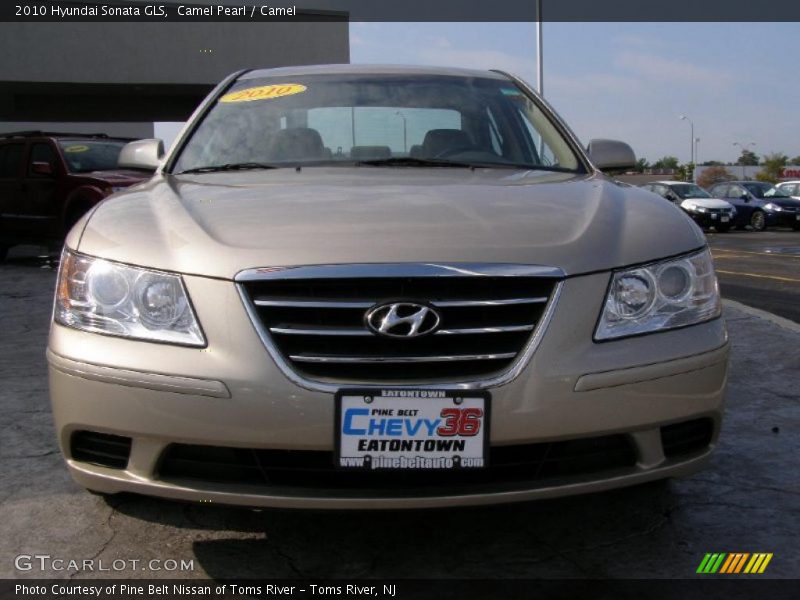 Camel Pearl / Camel 2010 Hyundai Sonata GLS