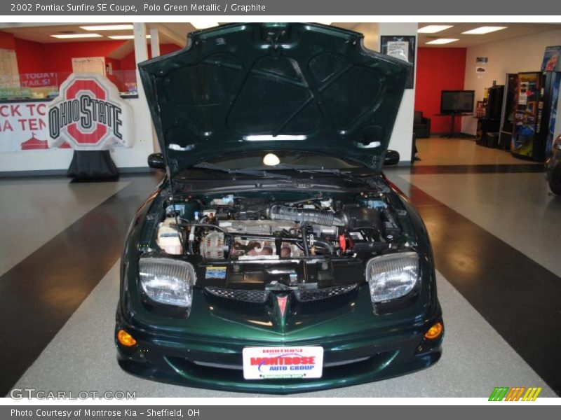 Polo Green Metallic / Graphite 2002 Pontiac Sunfire SE Coupe