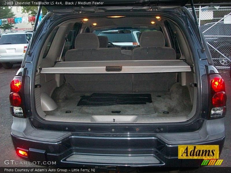 Black / Medium Pewter 2003 Chevrolet TrailBlazer LS 4x4