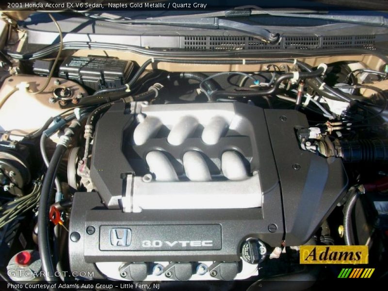 Naples Gold Metallic / Quartz Gray 2001 Honda Accord EX V6 Sedan