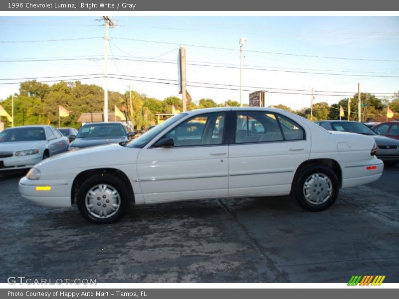 Bright White / Gray 1996 Chevrolet Lumina