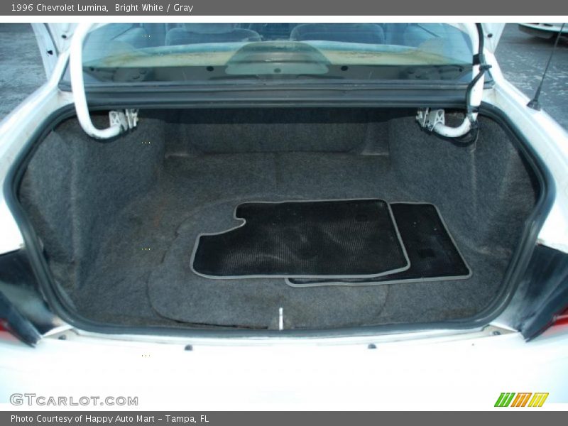  1996 Lumina  Trunk