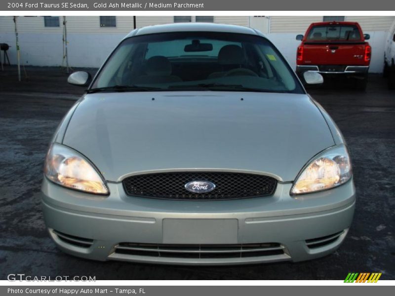 Gold Ash Metallic / Medium Parchment 2004 Ford Taurus SE Sedan