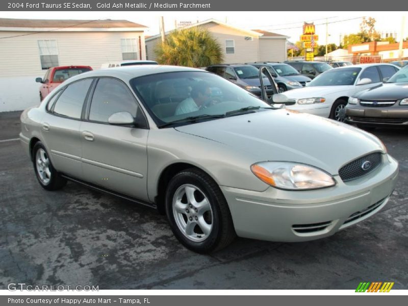 Gold Ash Metallic / Medium Parchment 2004 Ford Taurus SE Sedan