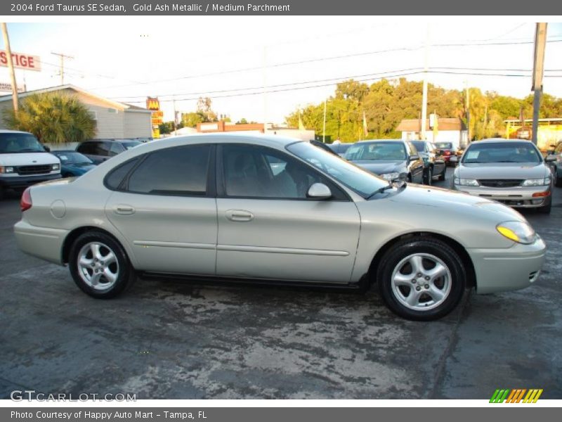 Gold Ash Metallic / Medium Parchment 2004 Ford Taurus SE Sedan