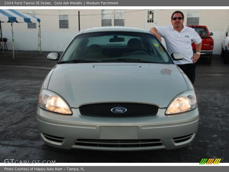 Gold Ash Metallic / Medium Parchment 2004 Ford Taurus SE Sedan
