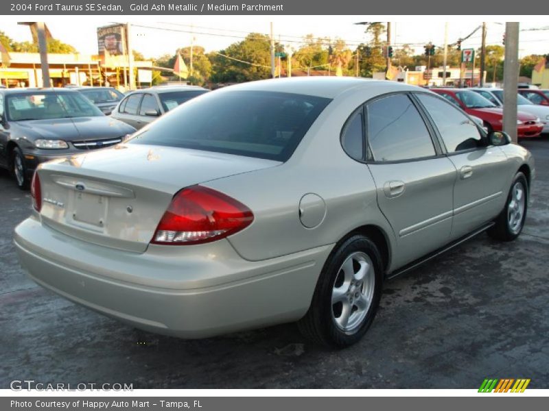 Gold Ash Metallic / Medium Parchment 2004 Ford Taurus SE Sedan