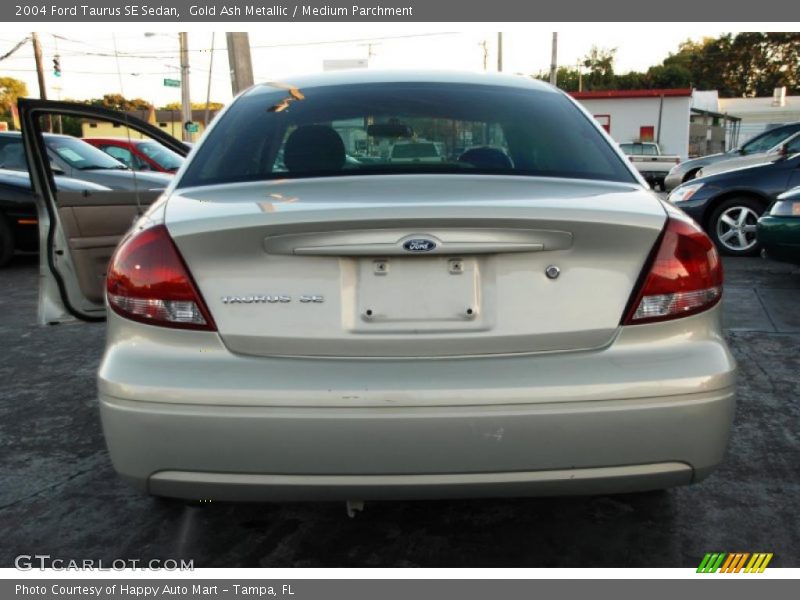 Gold Ash Metallic / Medium Parchment 2004 Ford Taurus SE Sedan