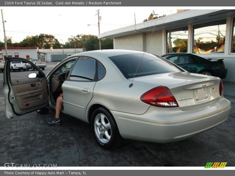 Gold Ash Metallic / Medium Parchment 2004 Ford Taurus SE Sedan