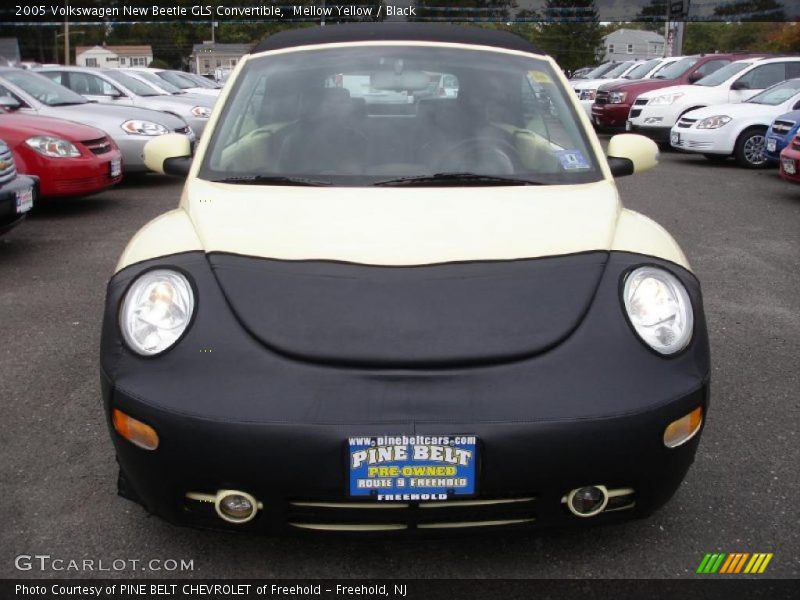 Mellow Yellow / Black 2005 Volkswagen New Beetle GLS Convertible