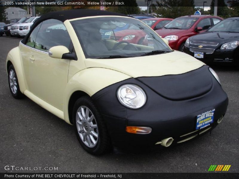 Mellow Yellow / Black 2005 Volkswagen New Beetle GLS Convertible