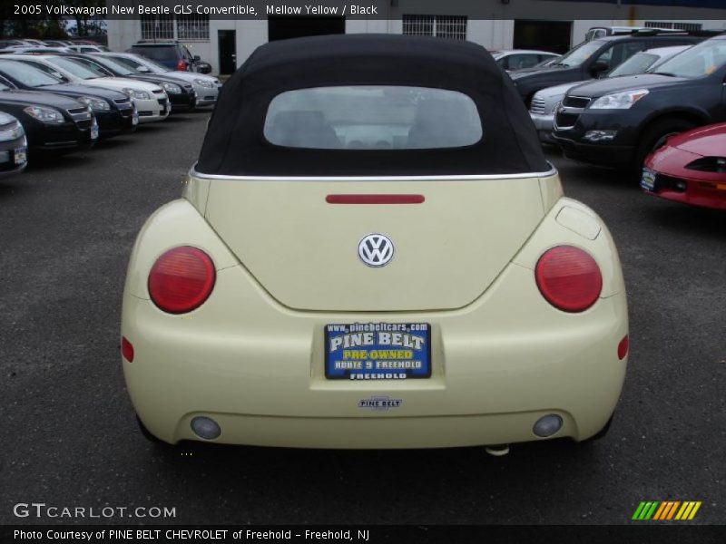 Mellow Yellow / Black 2005 Volkswagen New Beetle GLS Convertible