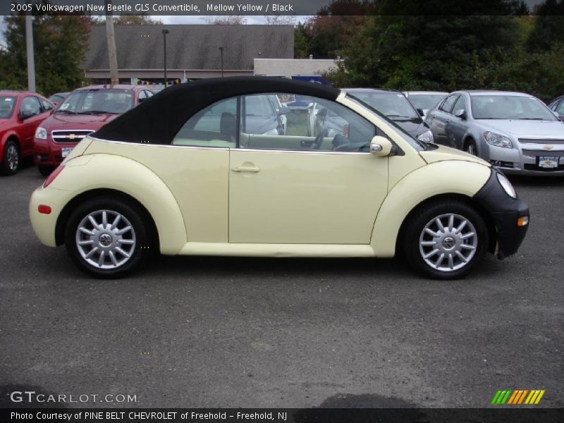 Mellow Yellow / Black 2005 Volkswagen New Beetle GLS Convertible