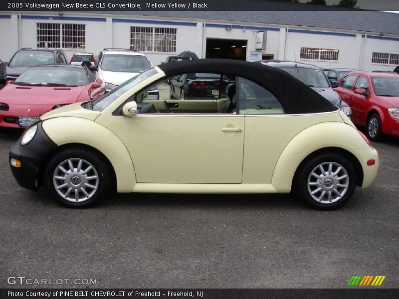 Mellow Yellow / Black 2005 Volkswagen New Beetle GLS Convertible