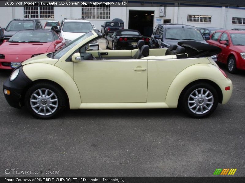 Mellow Yellow / Black 2005 Volkswagen New Beetle GLS Convertible