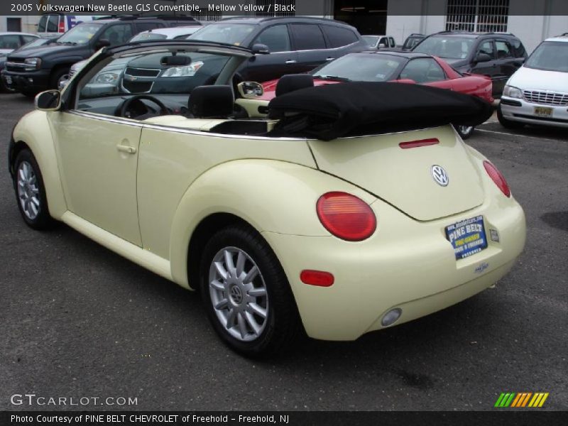 Mellow Yellow / Black 2005 Volkswagen New Beetle GLS Convertible