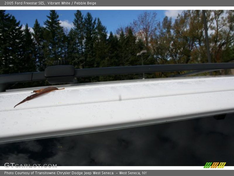 Vibrant White / Pebble Beige 2005 Ford Freestar SES