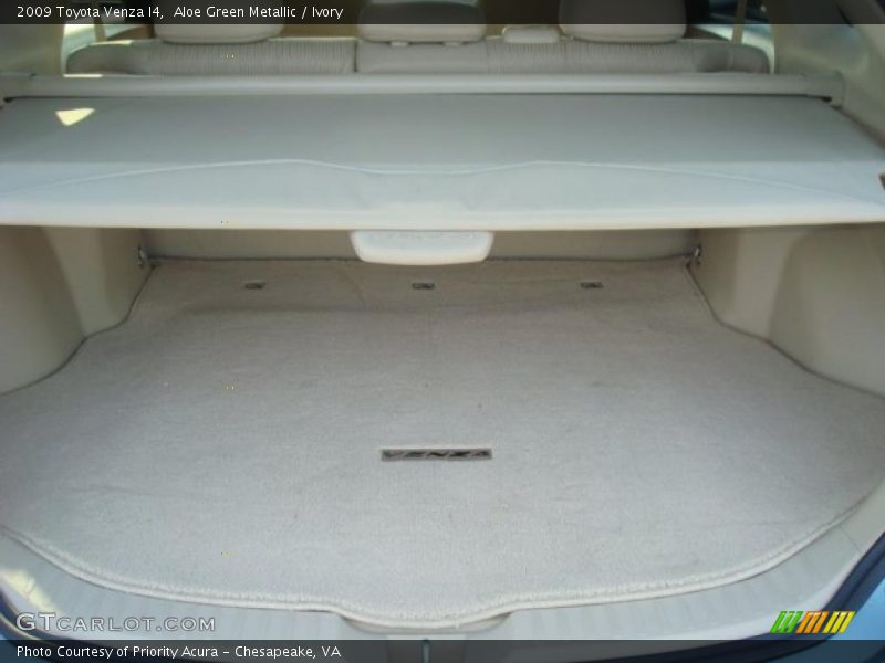 Aloe Green Metallic / Ivory 2009 Toyota Venza I4