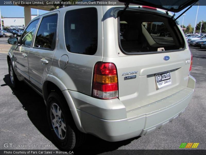 Gold Ash Metallic / Medium/Dark Pebble Beige 2005 Ford Escape Limited
