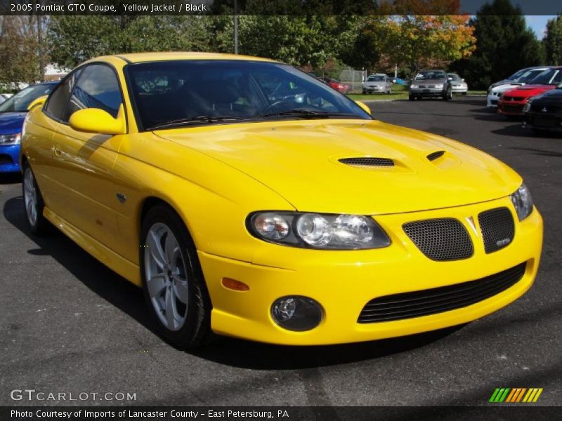  2005 GTO Coupe Yellow Jacket
