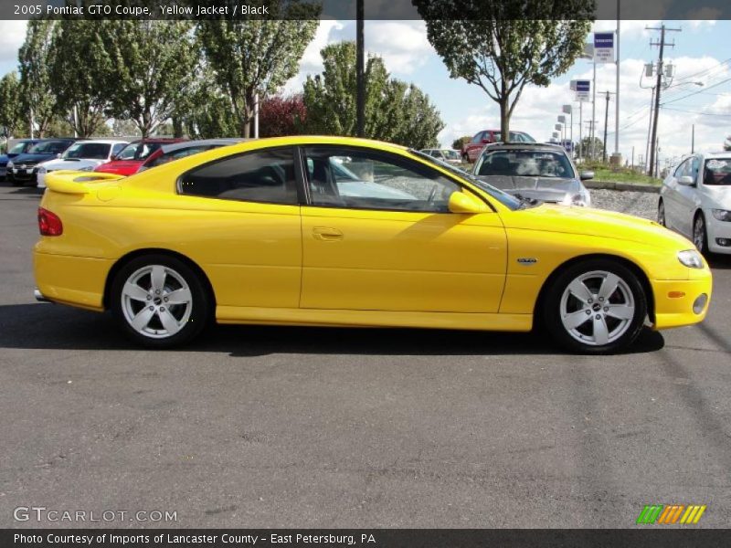 Yellow Jacket / Black 2005 Pontiac GTO Coupe