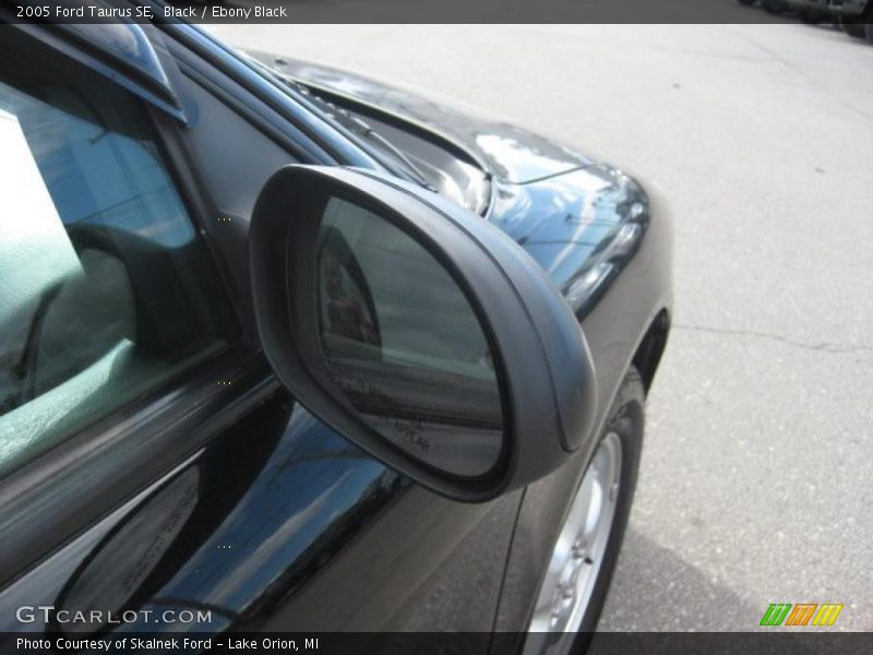 Black / Ebony Black 2005 Ford Taurus SE