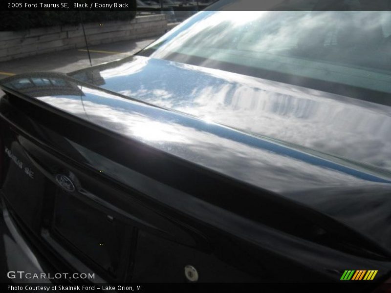 Black / Ebony Black 2005 Ford Taurus SE